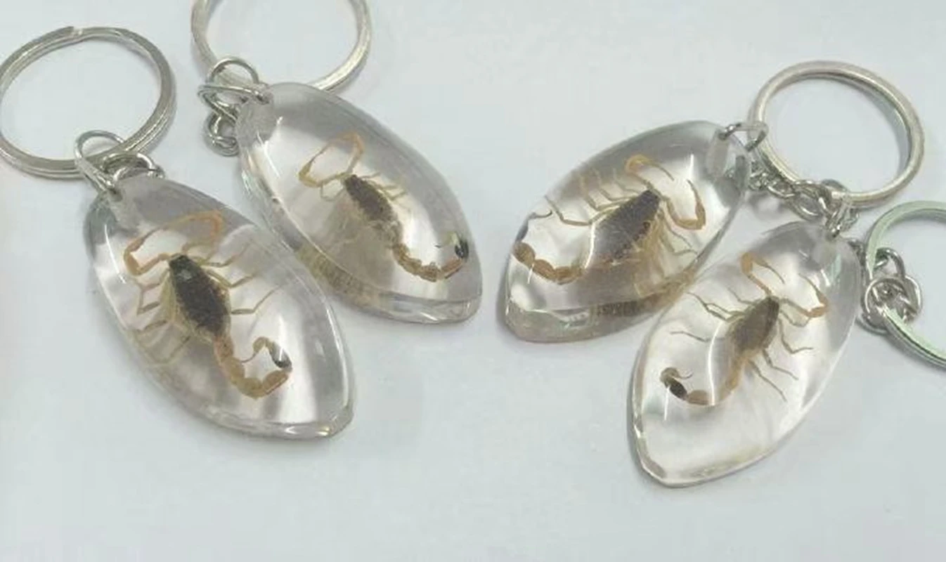 

16 pcs fashion Real Scorpion Car Keychain