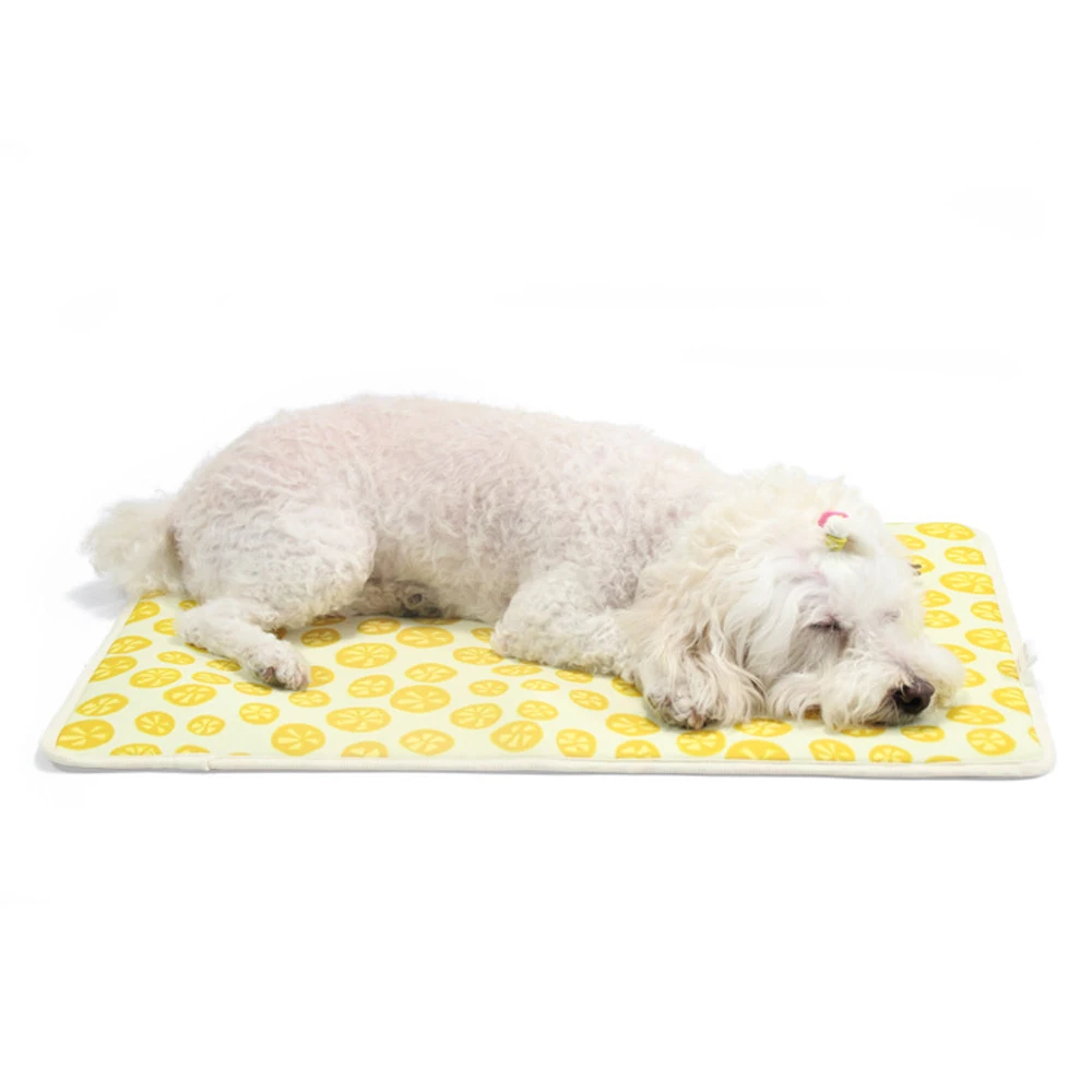 

Pet Mat Printing Imitation Memory Foam Mat Thin Section Water-proof Machine Washable Dog Sleep Mat Pet Supplies