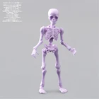N7ME подвижный Скелет мистера костей, модель человека, череп на все тело, мини-фигурка игрушка, Хэллоуин, новый цвет, хрустальный череп