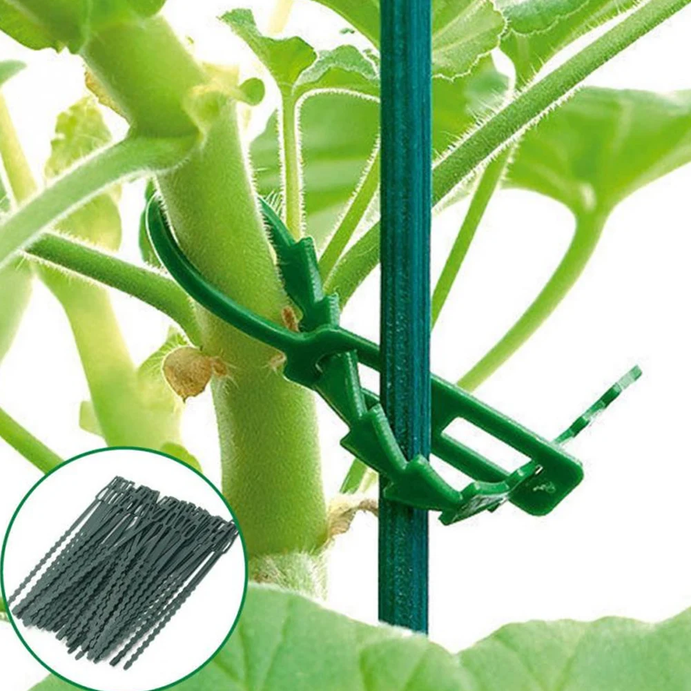 

Многоразовые садовые кабельные стяжки 17 см, 50/100 шт., зажимы для поддержки растений, подвесные фиксаторы для растений, регулируемые фиксатор...