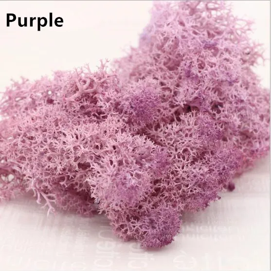 Purple 20 г Многоцветный Искусственный мох трава искусственный цветок растение мох украшение дома гостиной DIY Садовый цветок Декор Аксессуары - Цвет: Purple