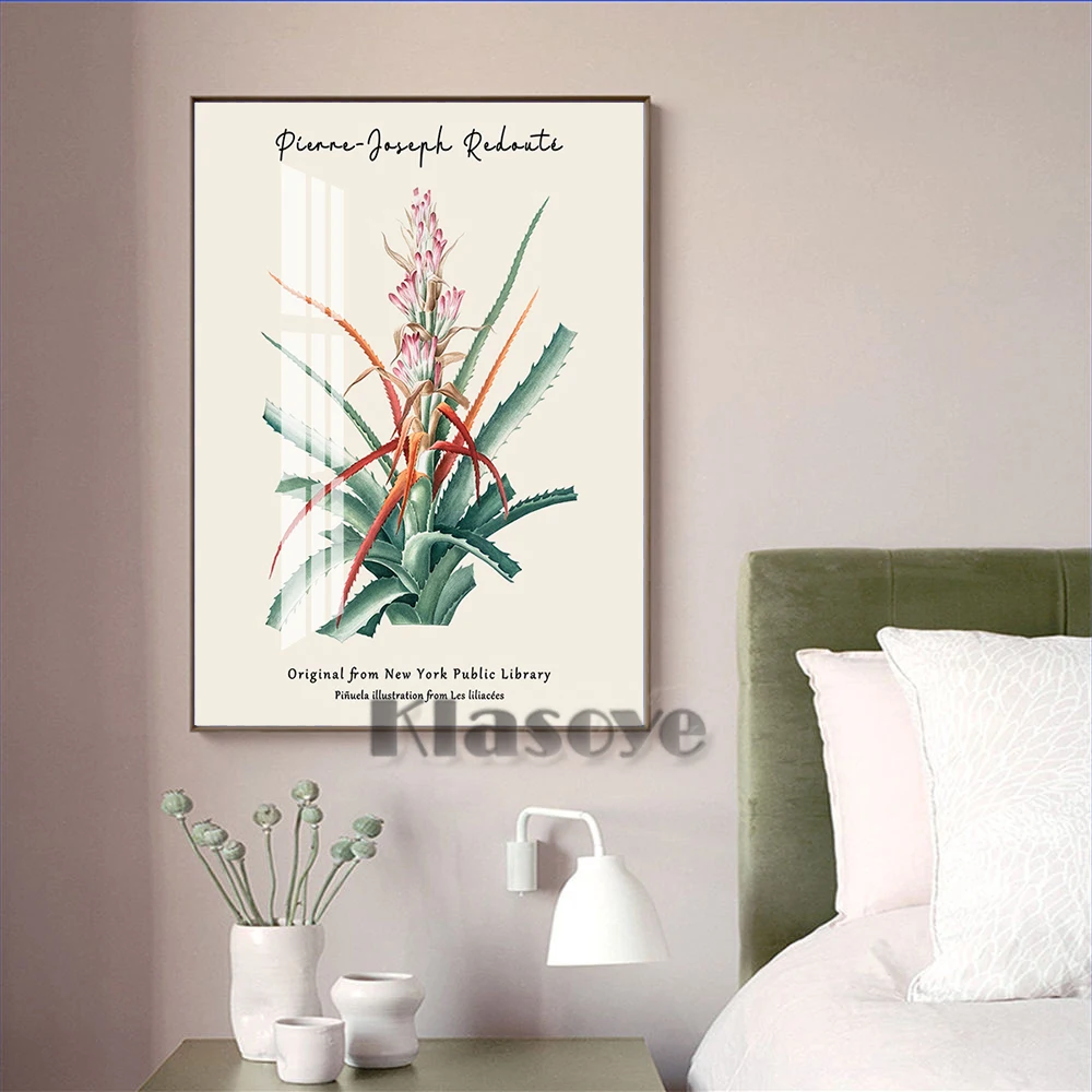 

Flowering Aloe Plant Prints Poster Vintage Botanical Illustrations Canvas Succulent Botany Wall Art Painting Modern Home Decor
