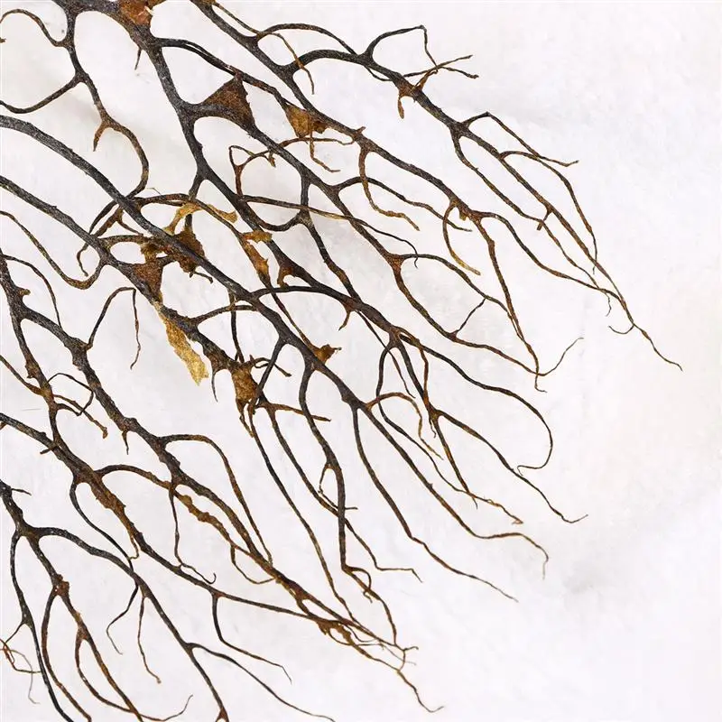 Веер для Черного моря украшение аквариума искусственные растения | Дом и сад