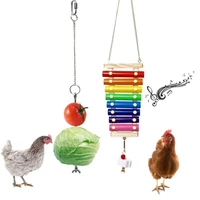 parrot chew toys macaw hanging wood bites string stand with bells cages cockatoo swing bird toy accessories pet bird products