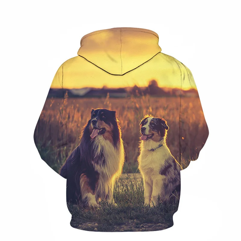 

2021 Drand New Fashion Animal 3D Printed Hoodies Men And Women Personalized Design Sweatshirt The Labrador Retriever Pet Dog