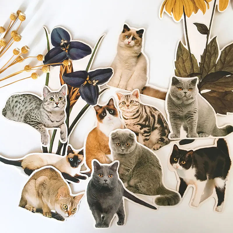 13 шт. DIY милый кот Стикеры дневник фотоальбом для ноутбука/Кот s бумага