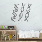 Школьная наклейка в научном классе, персональный домашний декор, настенная Съемная наклейка с ДНК-геналогией, биология, химическая переводка CX1476