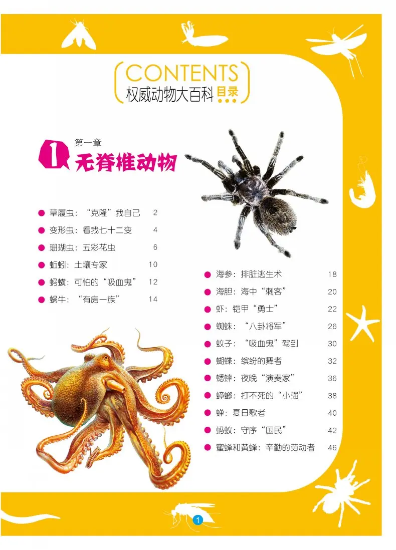 Китайская Детская энциклопедия животных книга для студентов открытие животного