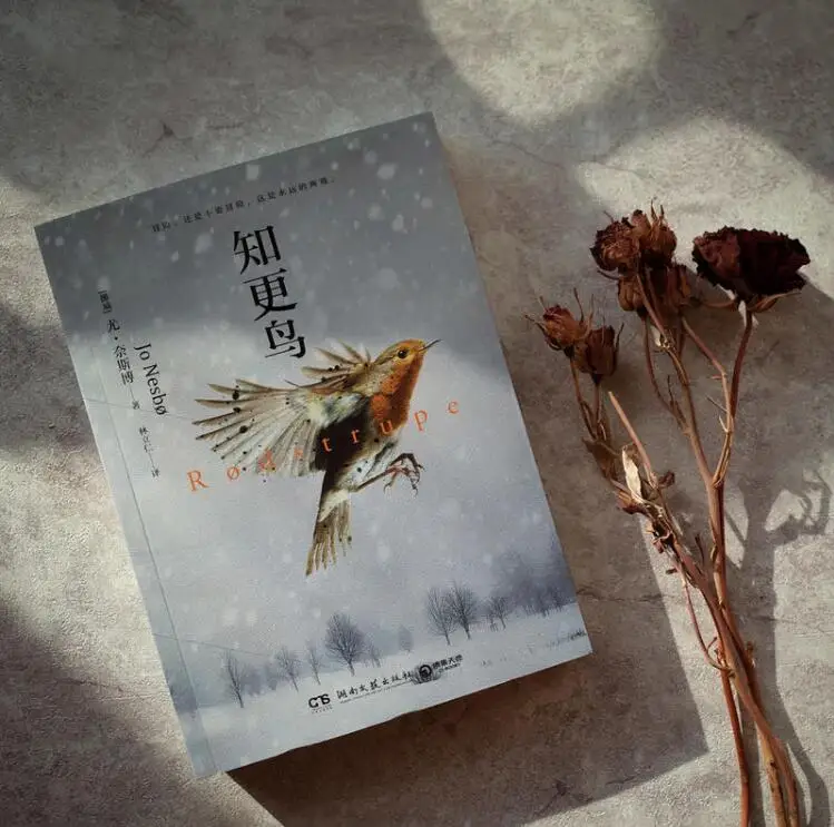 Новый скандинавский стиль-Rodstrupe (китайская версия) | Канцтовары для офиса и дома