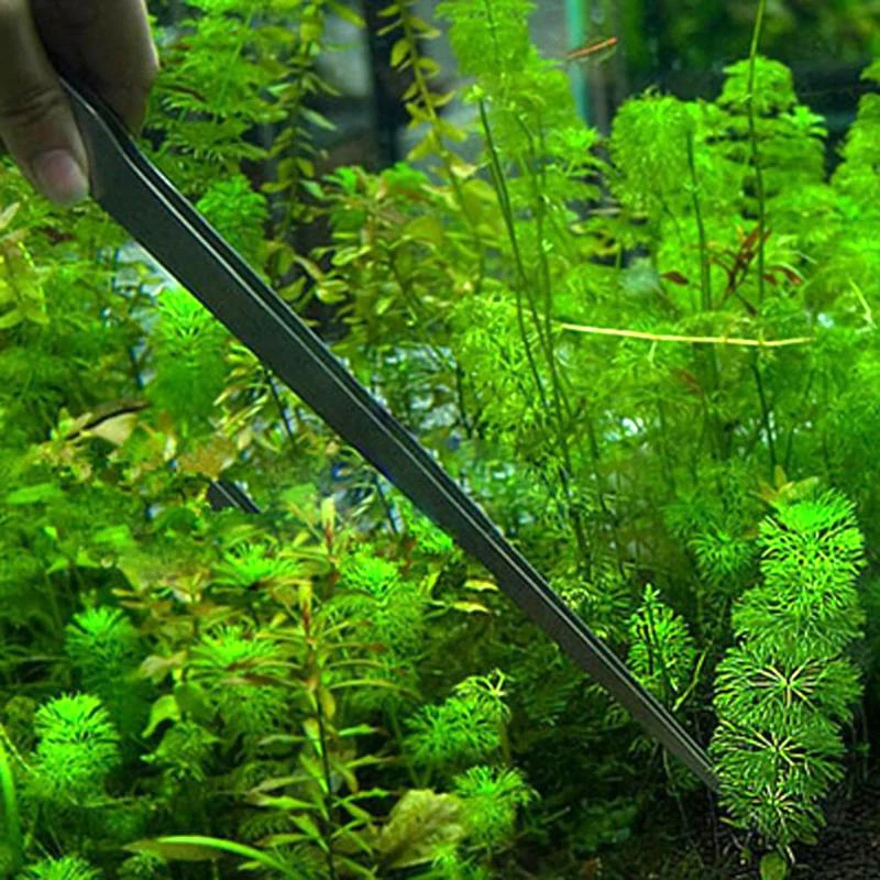 

1PCS Stainless Steel Curved Straight Rock Grass Clip Water Biological Cleaning Tools Water Grass Clamp 27cm Home Precision Tool