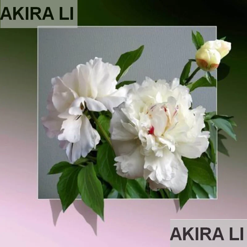 Алмазная вышивка распродажа цветочная картина Стразы квадратная/круглая