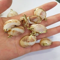 wholesale new natural snail shell pendant handmade crafts diy romantic retro necklace earrings jewelry accessories gift making