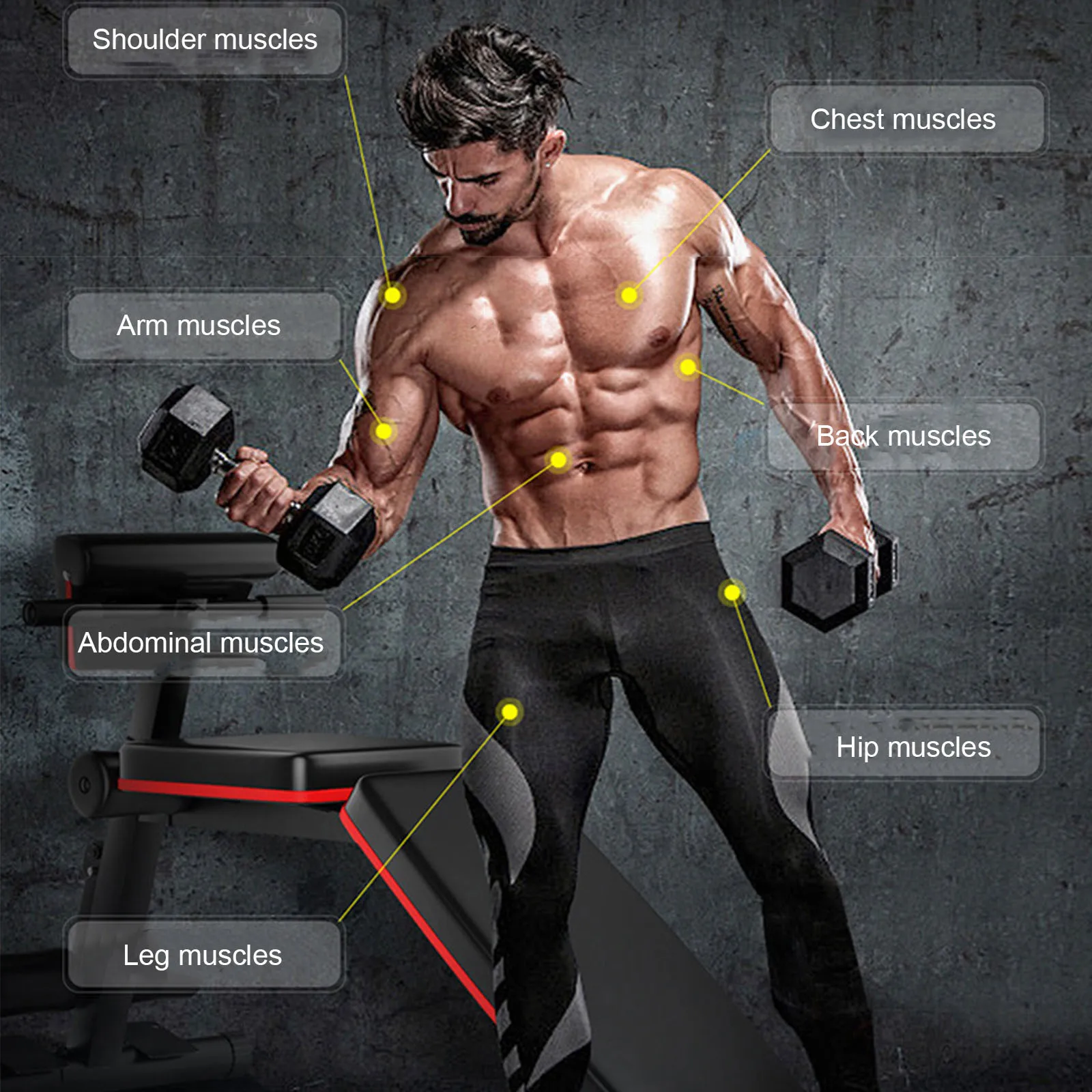 

Adjustable weight bench Multifunctional one-piece dumbbell bench Suitable for full-body exercise