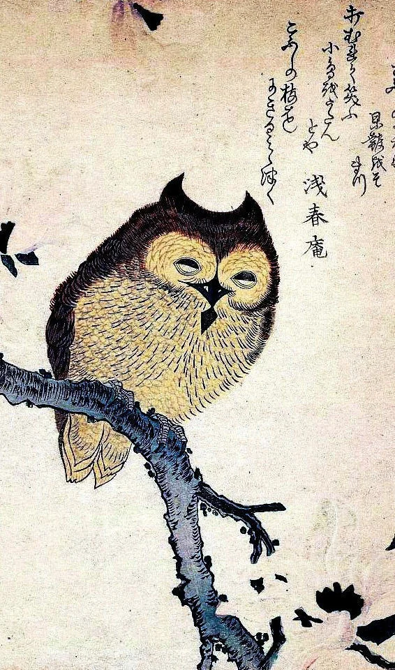 Винтажный Шелковый плакат с изображением азиатской японской китайской совы для