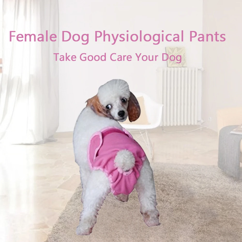Моющиеся физиологические штаны для собак женское нижнее белье менструации