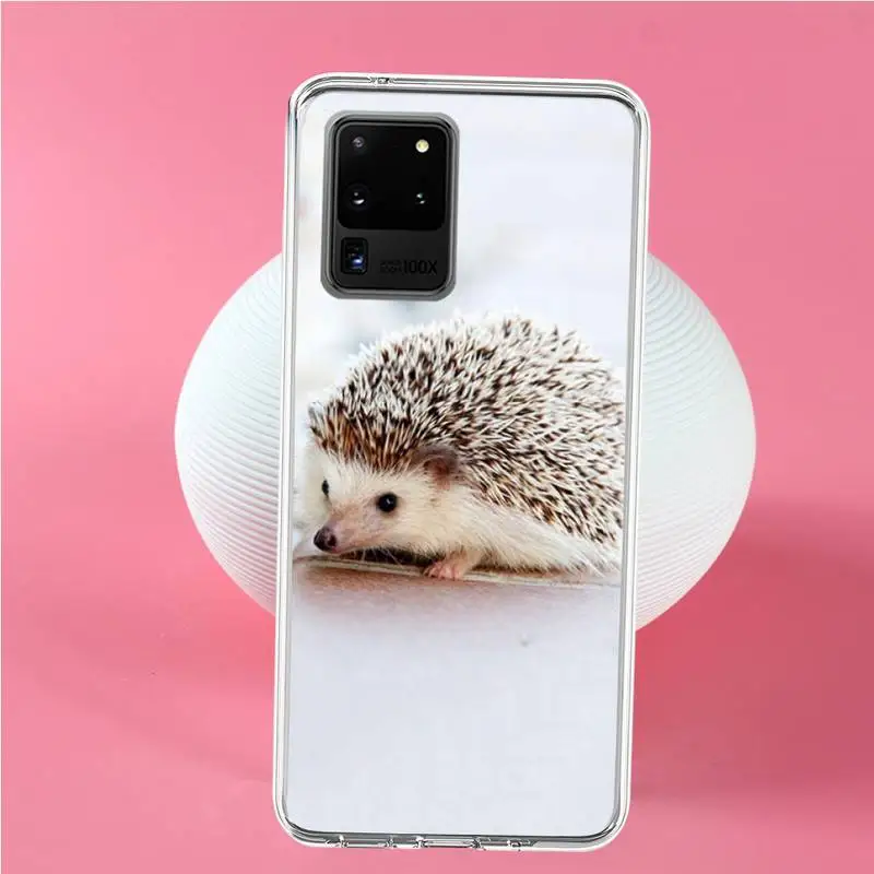 

Cute animal Hedgehog Phone Case For Samsung S6 S7 S7 edge S8 S8 Plus S9 S9 Plus S10 S10 plus S10 E(lite)