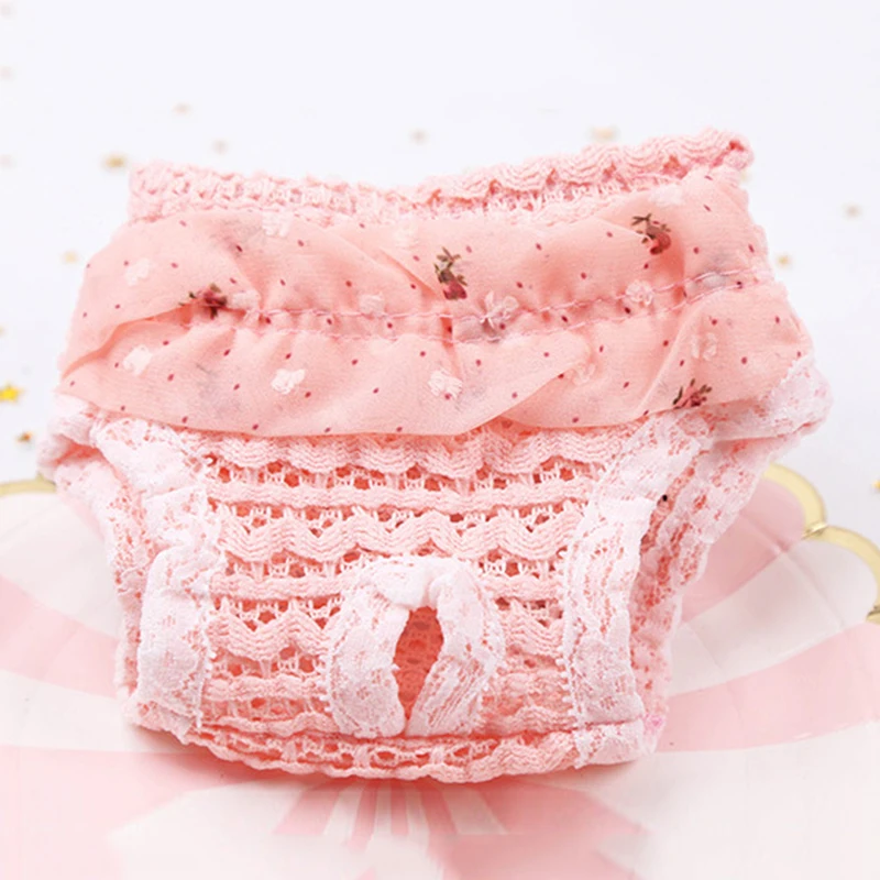 Diapers Physiological Pants Puppy Shorts Pink Blue Dot Print Pet Dog Panties Strap Chiffon Lace Summer Sanitary Dog Underwear