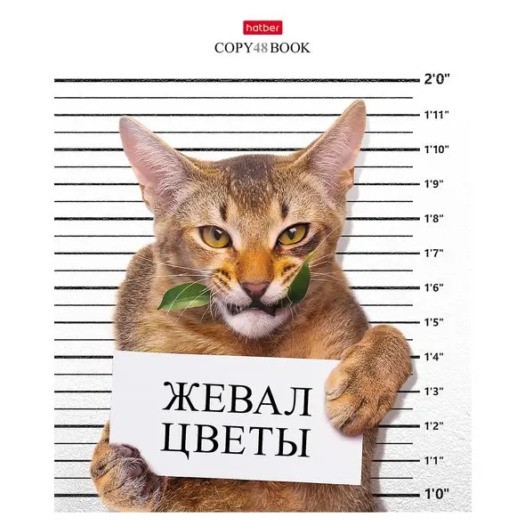 Набор тетрадей 48 л. х 10 шт Hatber &quotобормот&quot А5 клетка на скобе 5 обложек |