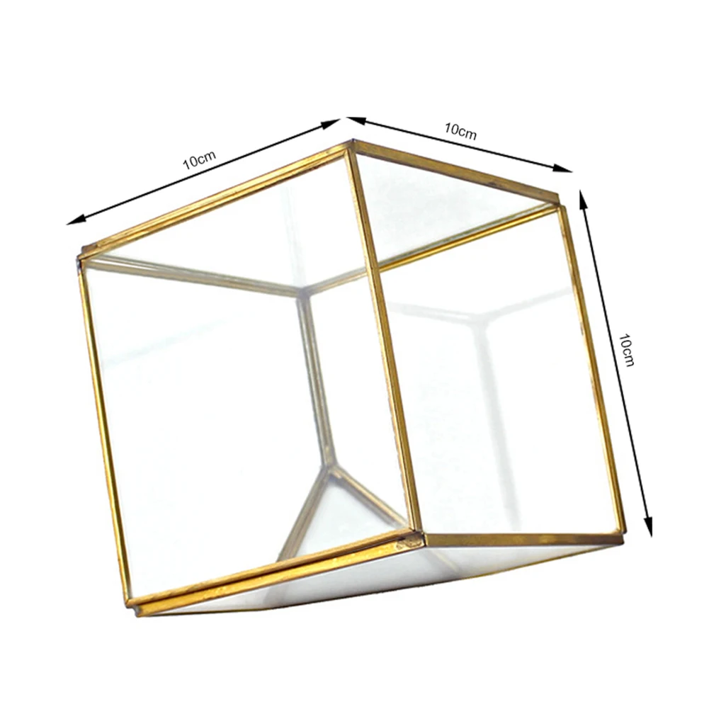 Геометрические кубики стеклянный террариум домашний декор растение мясистый