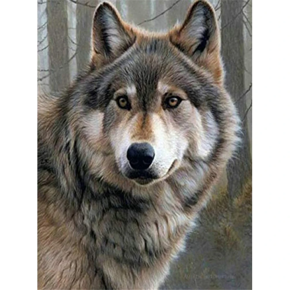 

Набор для вышивки «сделай сам», вышивка крестиком с собакой хаски, 11CT, набор для рукоделия, холст с принтом, хлопковая нить, домашний дизайн