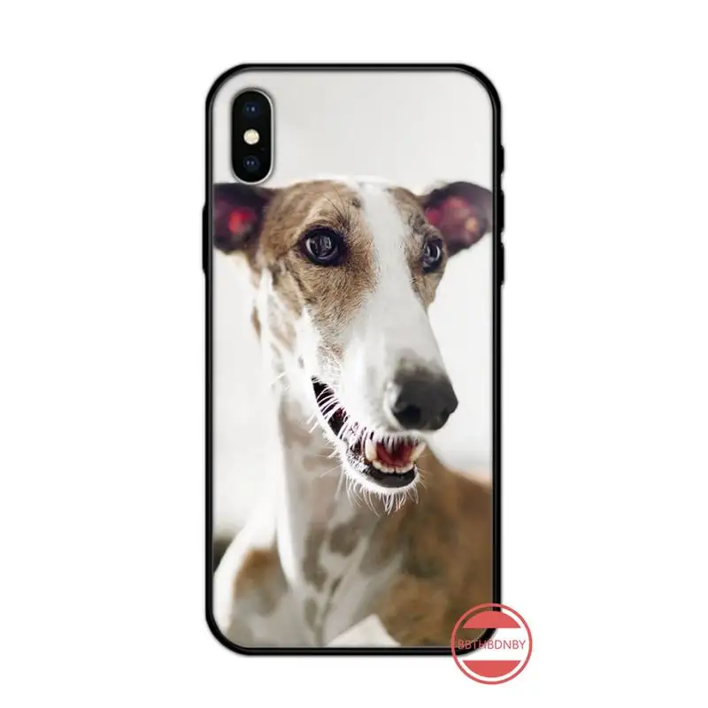

Galgo Greyhound Dog Phone Cases for iPhone 11 12 pro XS MAX 8 7 6 6S Plus X 5S SE 2020 XR