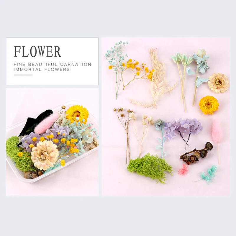 

High Pressed Flower Mixed Dried Flowers DIY Art Floral Decors Collection Gift Craft DIY Home UEJ