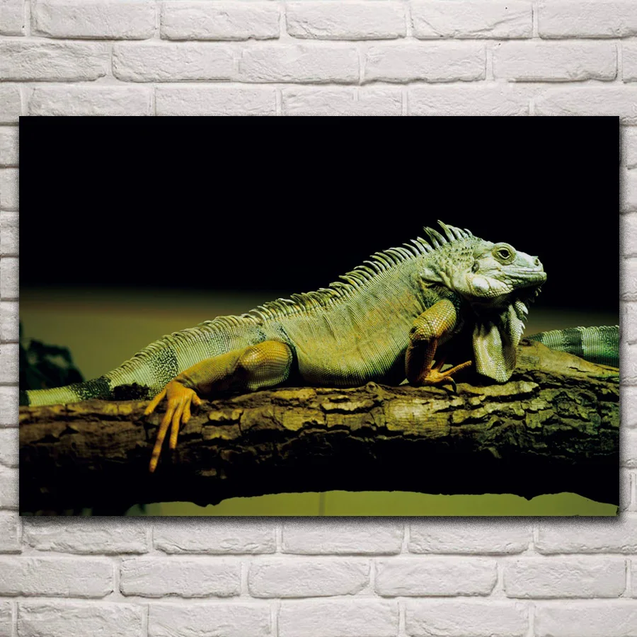 

lizard reptile amphibian closeup animal artwork fabric posters on the wall picture home art living room decoration KM534