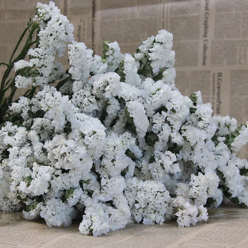 

About 50cm Real Dried Natural Flower Bouquet Wedding Home Decor Festivals Party DIY Decoration Myosoti Sylvatica&Forget Me Not