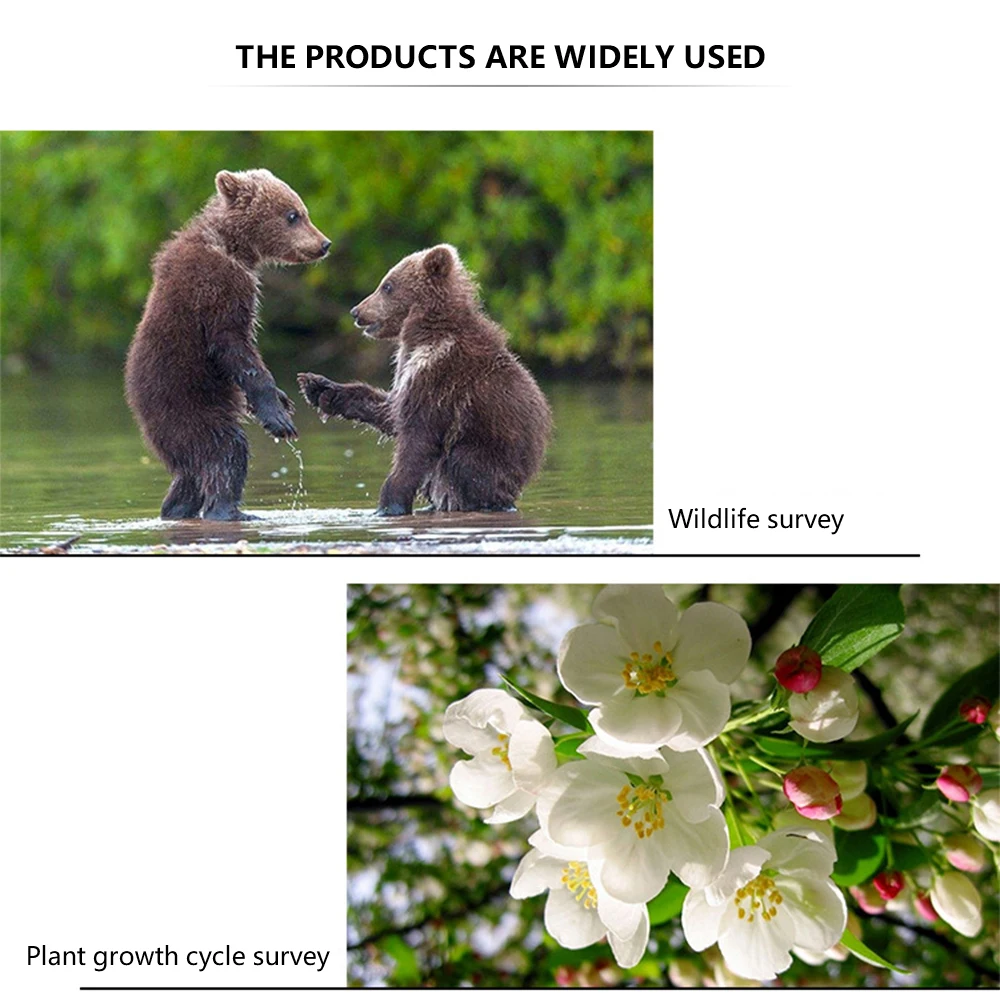

1080P Trail Cameras Waterproof HD Infrared Thermal Sensor Video Wildlife Photo Trap Hunting Cam Night Vision Surveillance Cam