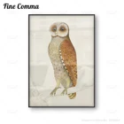 Винтажный плакат с изображением Bay Owl J Briois, животное, птица, настенная Картина на холсте, античная Картина на холсте, воспроизведение картины, домашний Настенный декор