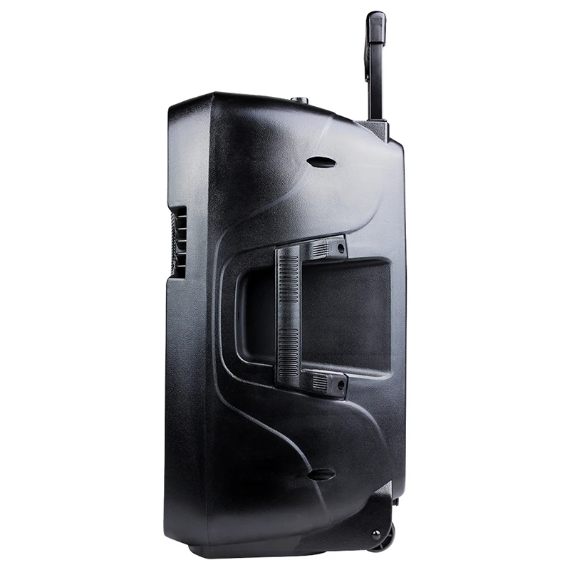 Динамик Shinco на колесиках для караоке с подставкой и микрофоном | Электроника