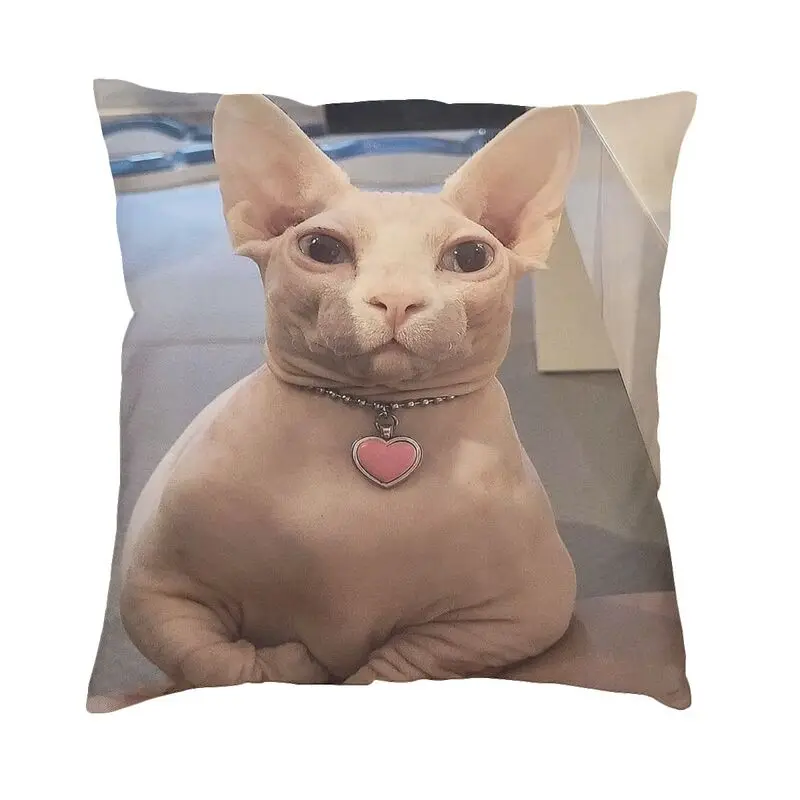 

Современный милый наволочка Bingus Meme для дивана бархатная наволочка с котом и сфинксом декоративная подушка для гостиной