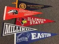 Cotton triangle flag promotional printed custom decoration felt | Дом и сад