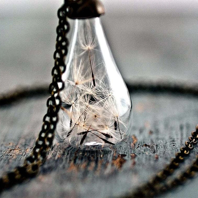 

Handblown Glass Teardrop DANDELION Seeds Necklace / Nature Wish Jewellry /Glass Orb Terrarium Pendant REAL Dandelion Necklace