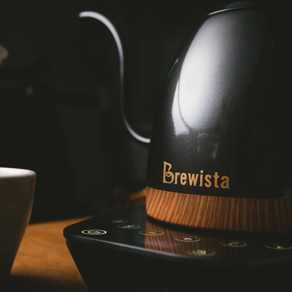 Brewista Artisan-cafetera con cuello de cisne y temperatura constante, 600ml, control de temperatura variable, 220V-3