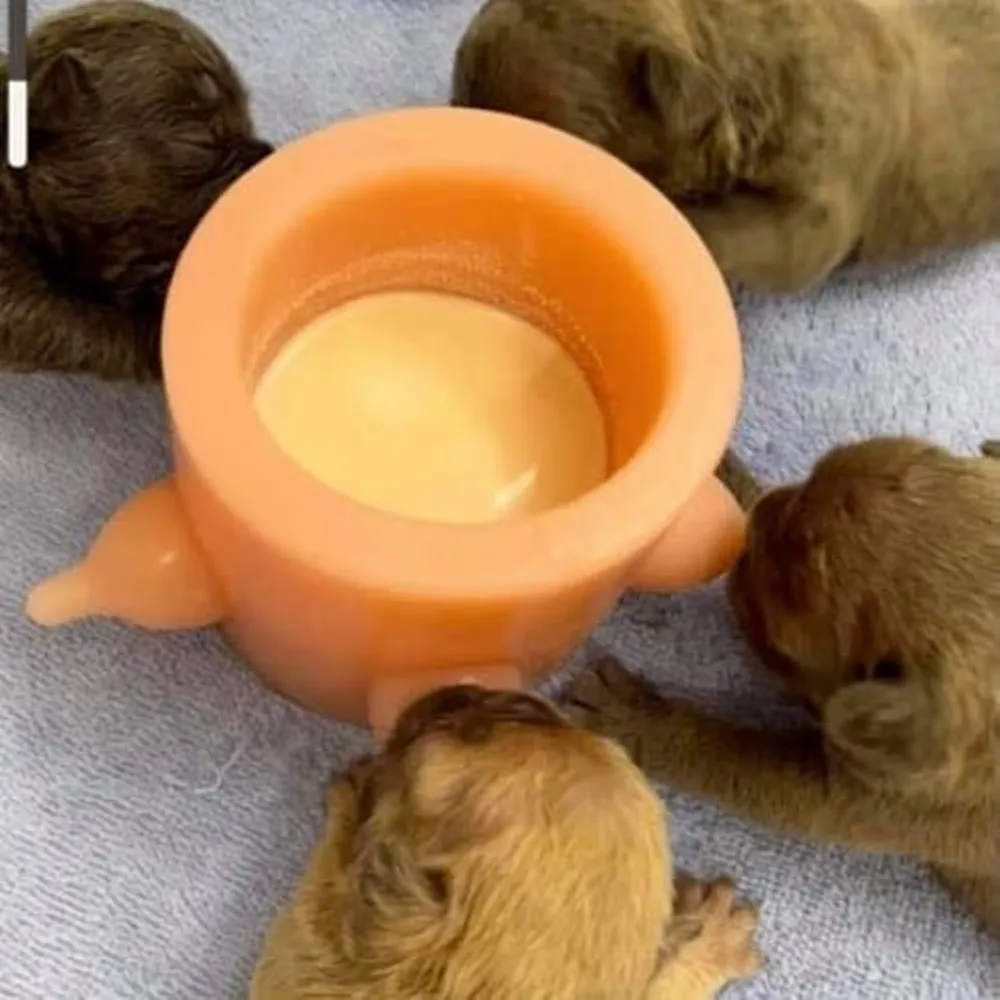Puppy Bowl 3 4 5 Nipples Feeder Bottle Nursing Station Dog Cat Kitten Pet Baby Bubble Milk Silicon Multiple Drink Food Dispenser images - 6