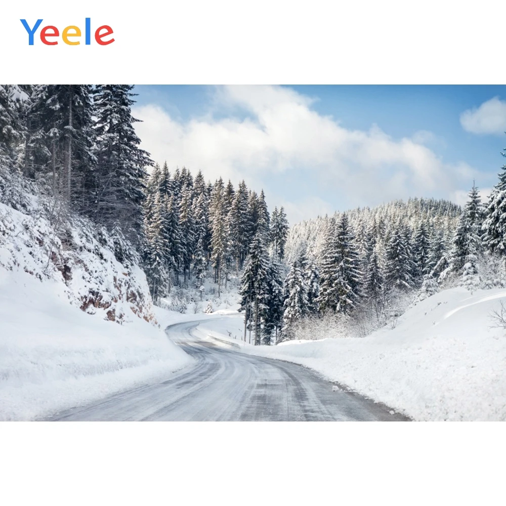 

Winter Snow Forest Sunlight Road Cloud Sky Home Decoration Backdrop Photography Custom Photographic Background For Photo Studio