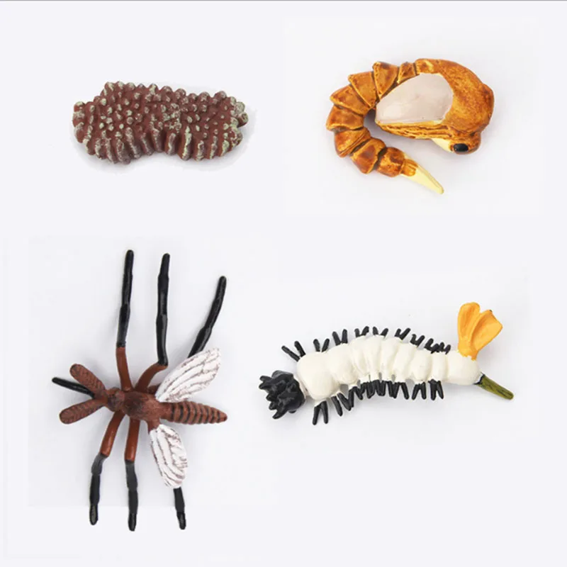 Обучающие игрушки для мальчиков имитация птицы насекомые лягушка муравей цикл