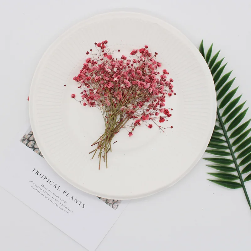 Натуральные сушеные цветы тиснение Botany образец Diy клей ручной оболочки Ароматерапия Свеча фоторамка активность материал наука - Цвет: Daman light red