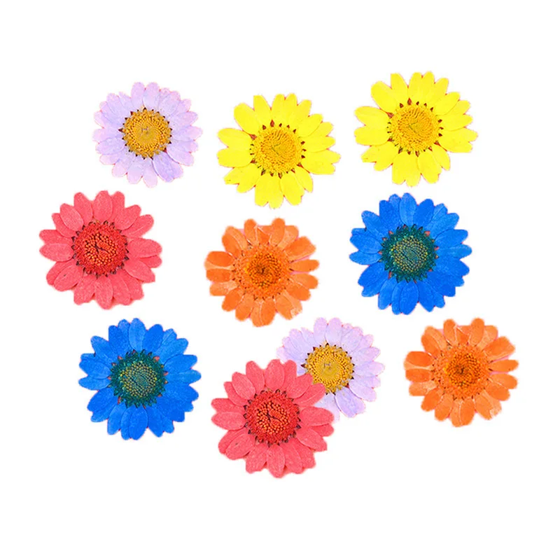 

1 Bag Colorful Dried Flower Plant for Resin Jewellery Bulk Craft DIY Accessories Resin Mold Pendant Necklace Jewelry Making