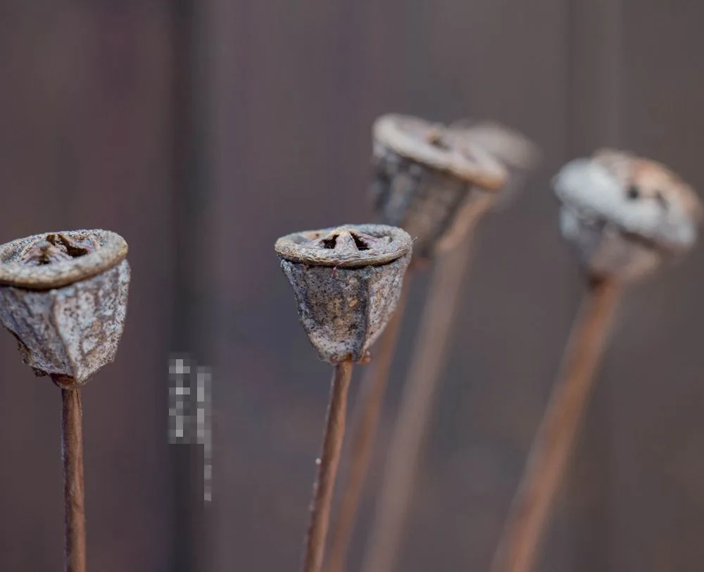 Синий эвкалипт фруктовый если крест одна ветка Природный Стиль витрина