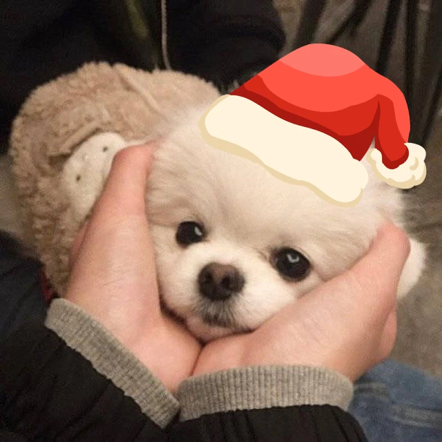 По универсальной ссылке пожалуйста свяжитесь с продавцом перед размещением