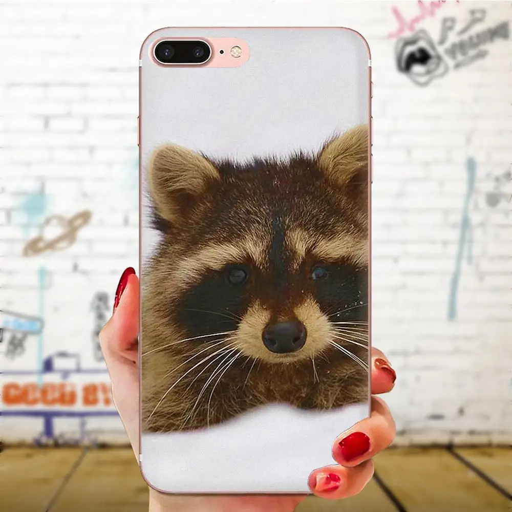 Animal Raccoon Art Coque Back Cases Shockproof For Galaxy J1 J2 J3 J330 J4 J5 J6 J7 J730 J8 2015 2016 2017 2018 mini Pro | Мобильные