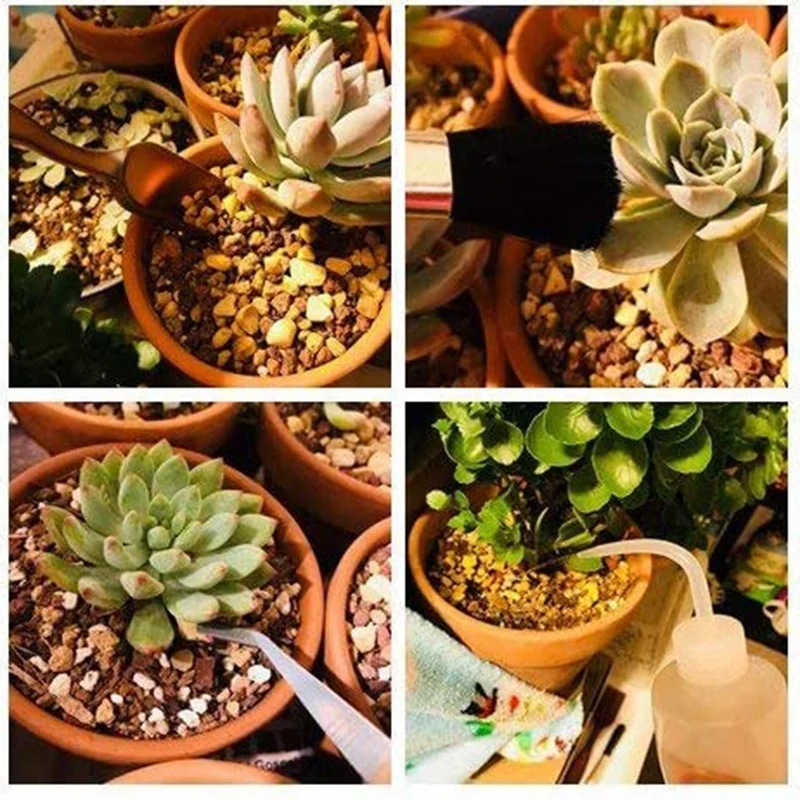 

15 Pieces Mini Gardening Tool Sets Bonsai Tools Kit for Succulent Plants Pot Plants