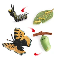 meticulously designed ladybug butterfly lifecycle figures%ef%bc%8c educational accessory to our live ladybug kit
