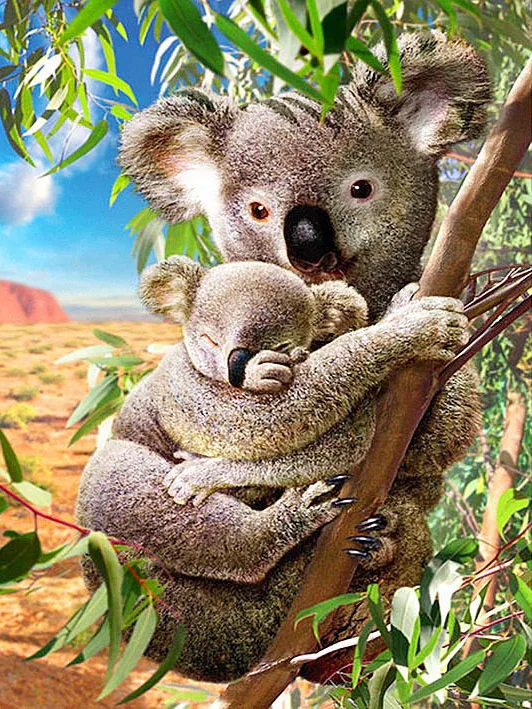 

DIY Diamond painting Koala mother holding his baby on the tree