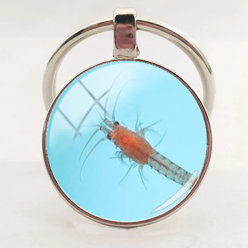 Marine life glass dome keychain marine animal art shark crab octopus turtle fish charm keyring DIY jewelry discovery | Украшения и