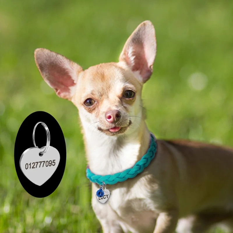 Suede Leather Dog Collar Braided Dog Hand Made Anti Lost Bell Necklace Pets Acessorios Comfortable Coleira Cachorro Peitoral A
