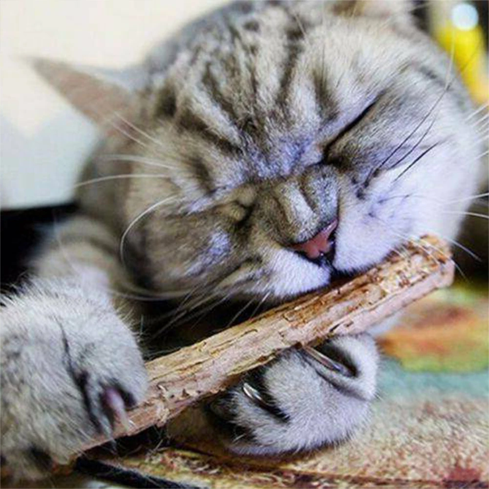 Жевательные палочки для кошек и котят 15/20 шт.|Игрушки кошек| |