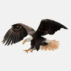 Яркий Летающий орел Авто мотоцикла наружная водонепроницаемая ПВХ наклейка, 18 см * 9,3 см